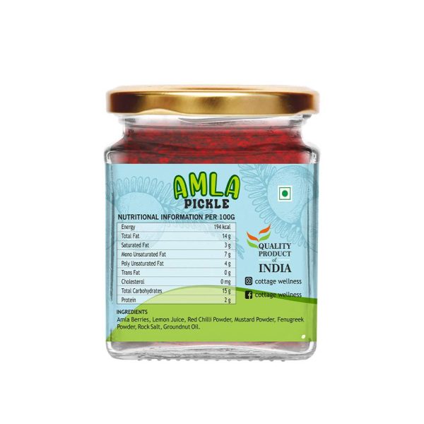 Amla Pickle - 250 g - Image 3